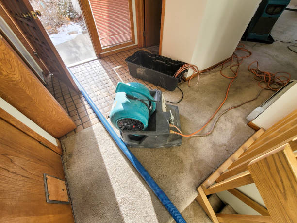 Best 24/7 water damage repair  in Kingston, IL