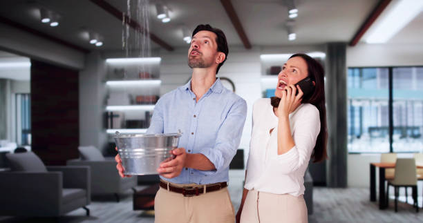 Best Professional water damage repair  in Kingston, IL